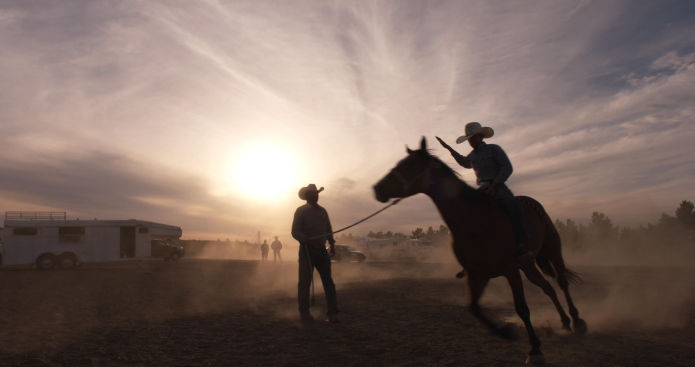 The Cowboy